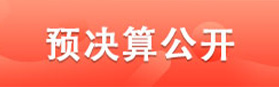 预决算公开 预决算公开